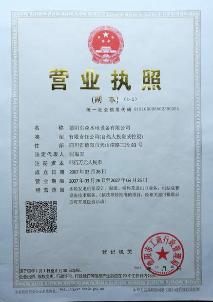 Porcellana Deyang Dongsen Hydropower Equipment Co., Ltd. Certificazioni