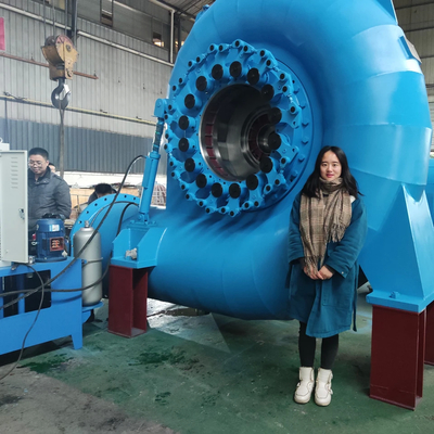 qualità  Reliable Water Turbine Generator For Various Speeds And Frequencies fabbrica