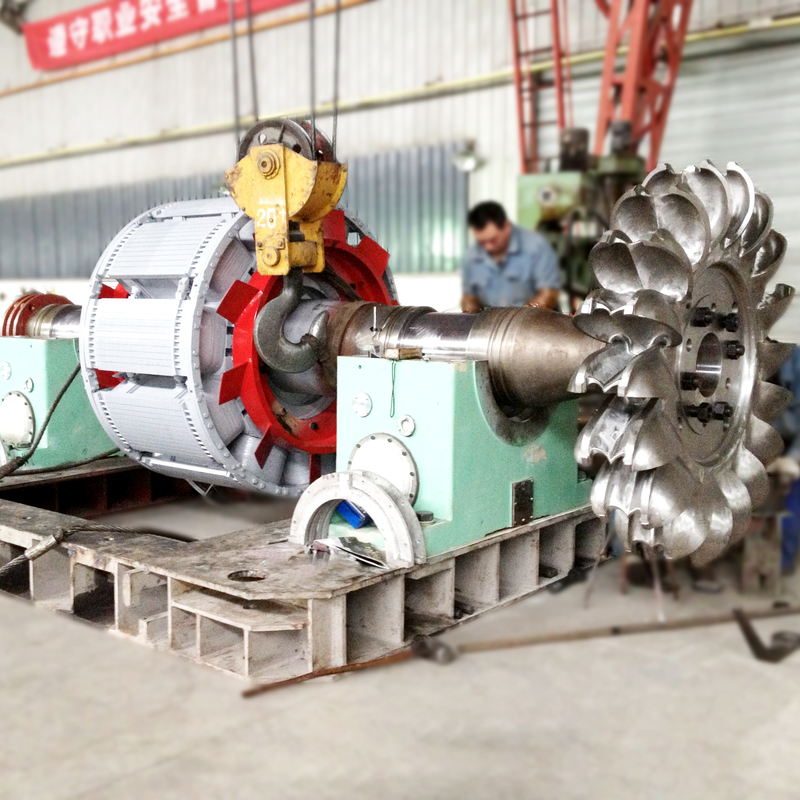 Generatore di turbina Pelton generatore di energia per turbina Pelton con corpo in ghisa