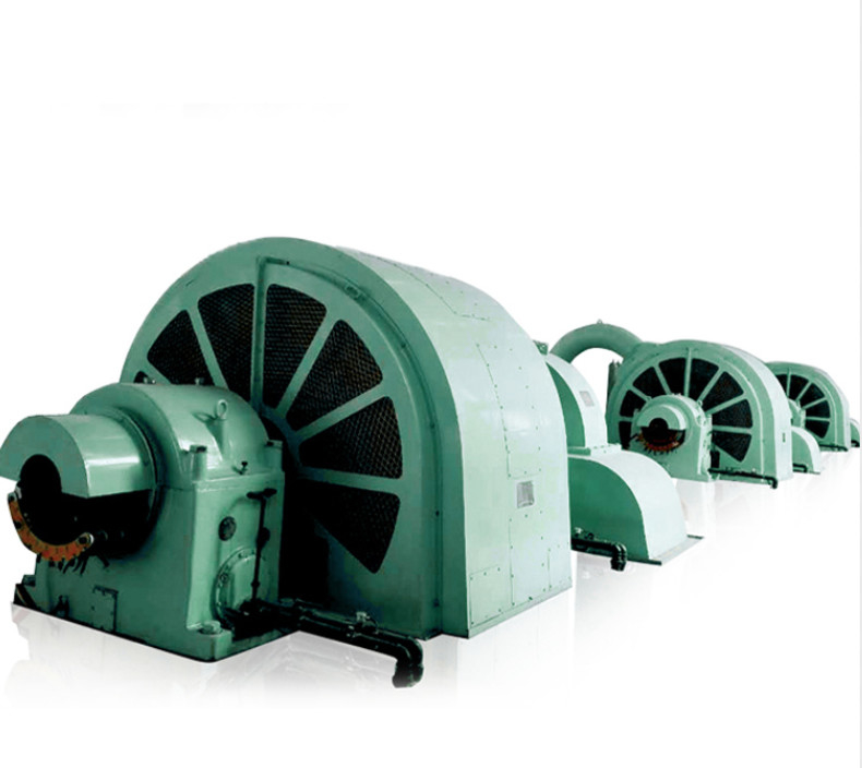 IP54 Generatore di energia per turbine Pelton senza spazzole 100kw-50mw Potenza di uscita 6-10kV Voltaggio nominale