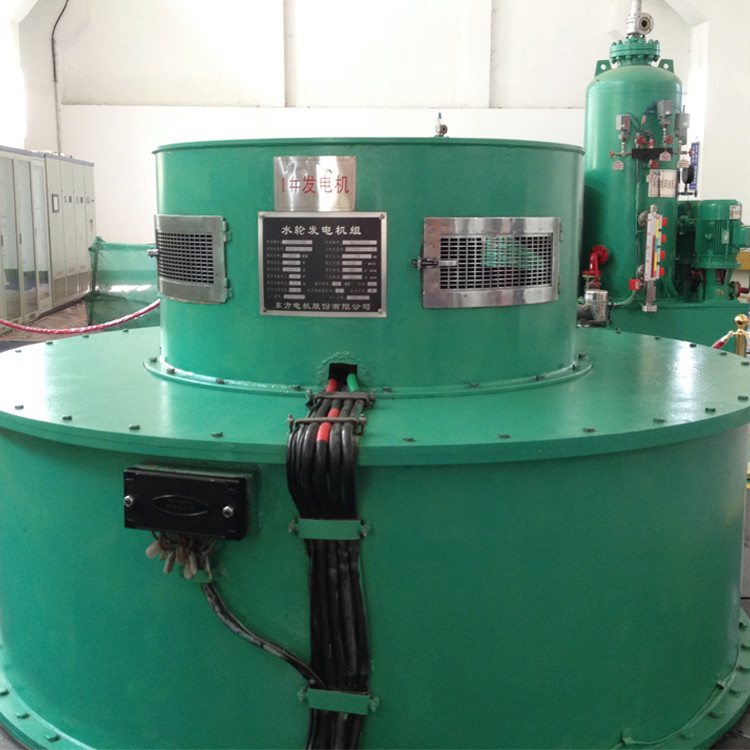 Generazione di energia ecologica Corridore in acciaio inossidabile Kaplan Turbina idraulica idrogeneratore con velocità nominale 100-1500 r/min