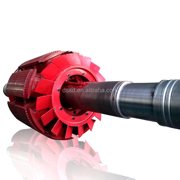 Generatore automatico/manuale a turbina idrica interno/esterno 220V-690V installazione verticale/orizzontale a colori personalizzati