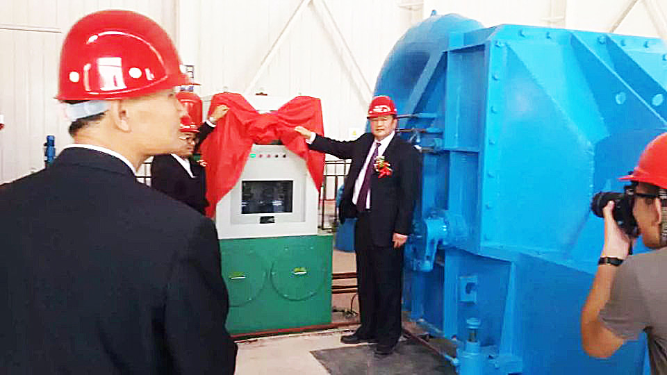Grado di protezione IP54 Generatore a turbina di tipo Pelton per la generazione di energia in ghisa/acciaio inossidabile