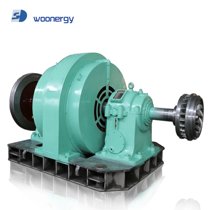 Generatore di turbina ad acqua senza spazzole verticale 200kw-20mw Potenza di uscita Installazione all'interno/all'esterno 50Hz/60Hz