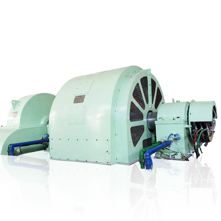 Generatore a turbina di tipo Pelton da 100 kW a 50 MW con costruzione in acciaio inossidabile