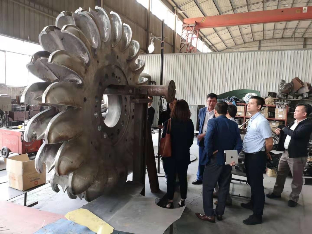 Generatore di turbina Pelton generatore di energia per turbina Pelton con corpo in ghisa