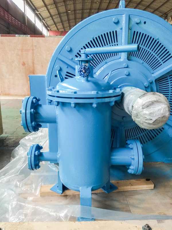 Efficienza 50HZ/60HZ Francis Turbina ad acqua con testa d'acqua da 5m-500m con trasformatore