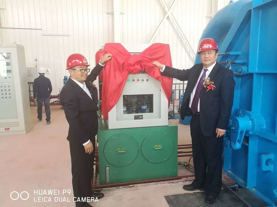 500-3000r/min Generatore di turbine Pelton in ghisa senza spazzole con classe di isolamento F