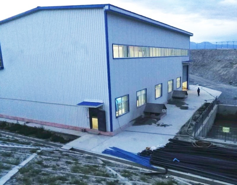 500-3000r/min Generatore di turbine Pelton in ghisa senza spazzole con classe di isolamento F