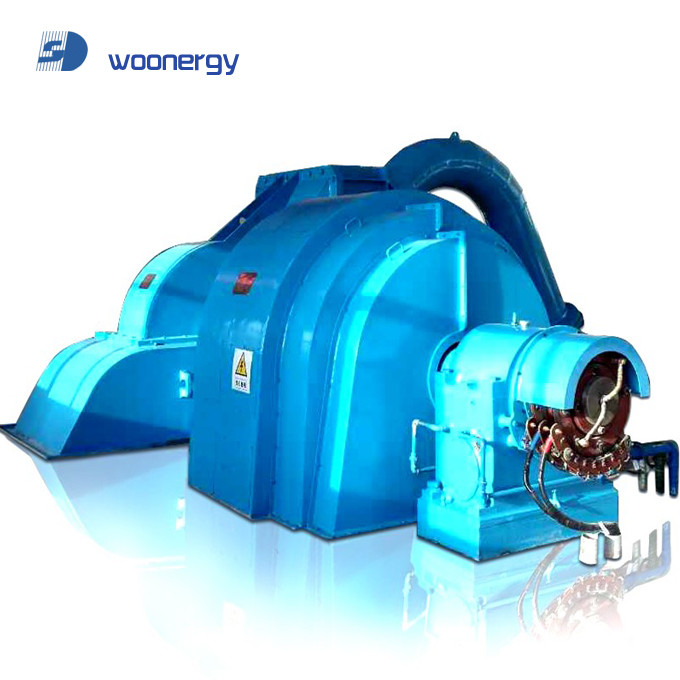 Generatore di turbine a impulso di testa IP54 Grado di protezione 6-10kV Voltaggio nominale Ferro fuso/acciaio inossidabile