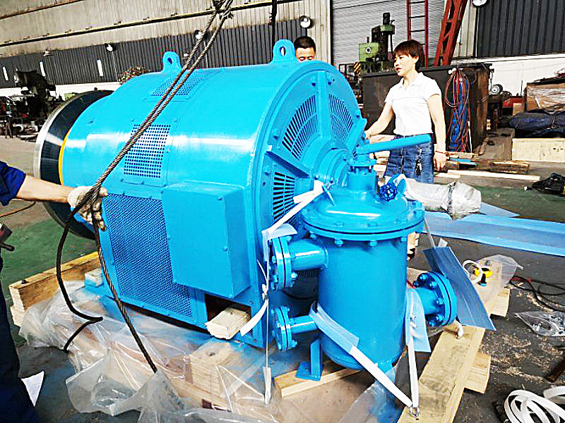 Generatore idroturbina a testa d'acqua regolabile per potenza personalizzata a frequenza 50/60Hz