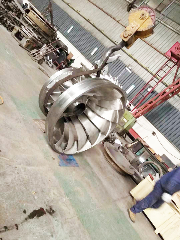 Durabilità Turbina ad acqua ad alta potenza per la generazione di energia ad acqua personalizzata fino a 20 MW