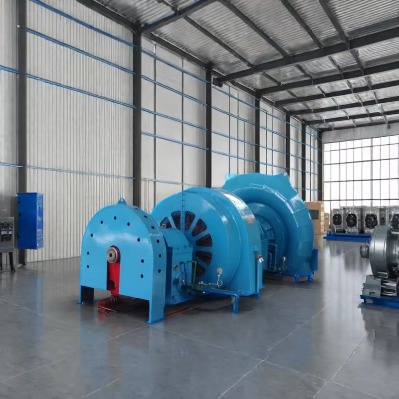 Durabilità Generatore idroturbina funzionante a 450-1000 giri al minuto Frequenza per la generazione di energia a 50HZ/60HZ