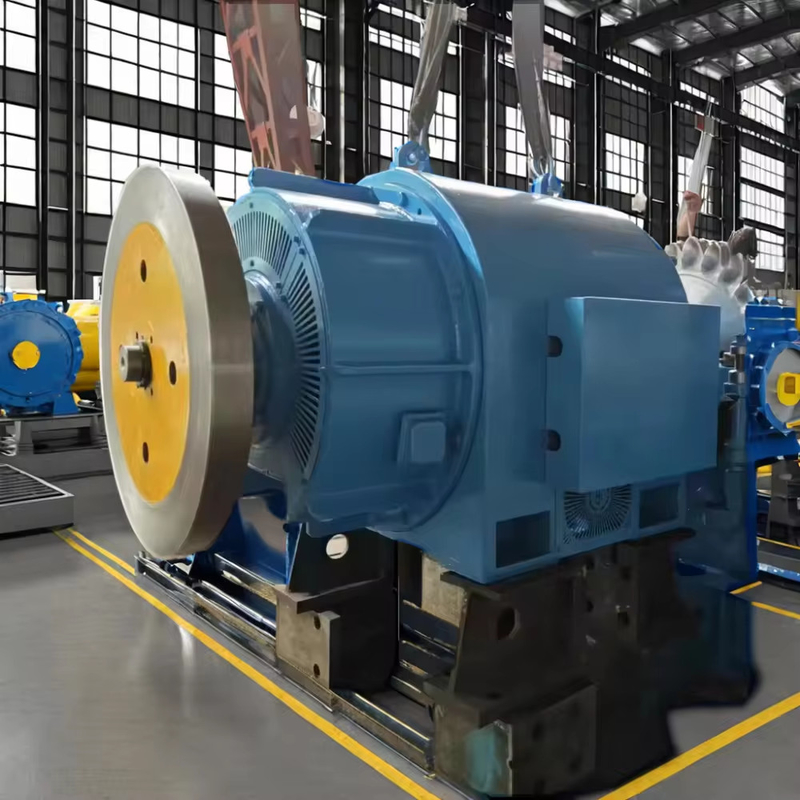 5T-50T Generatore a turbina Pelton personalizzato con raffreddamento ad olio d'aria ed eccitazione tiristor