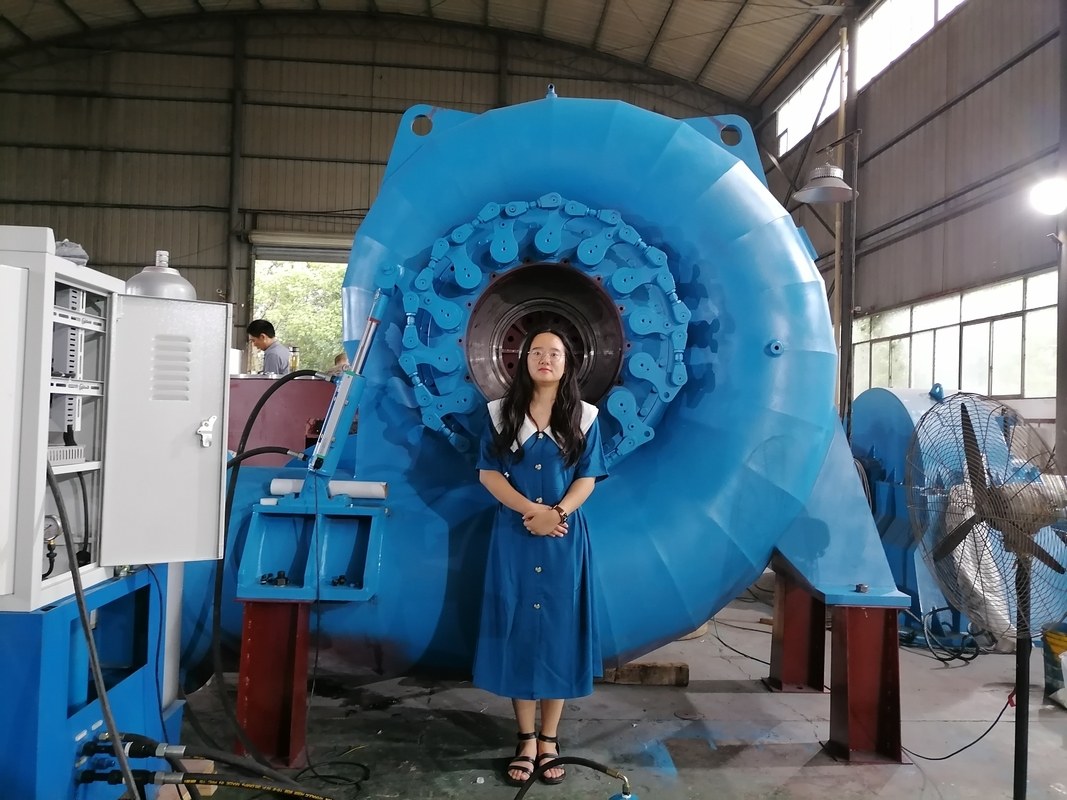 Generatore a turbina ad acqua versatile a colori personalizzati per vari bisogni di energia