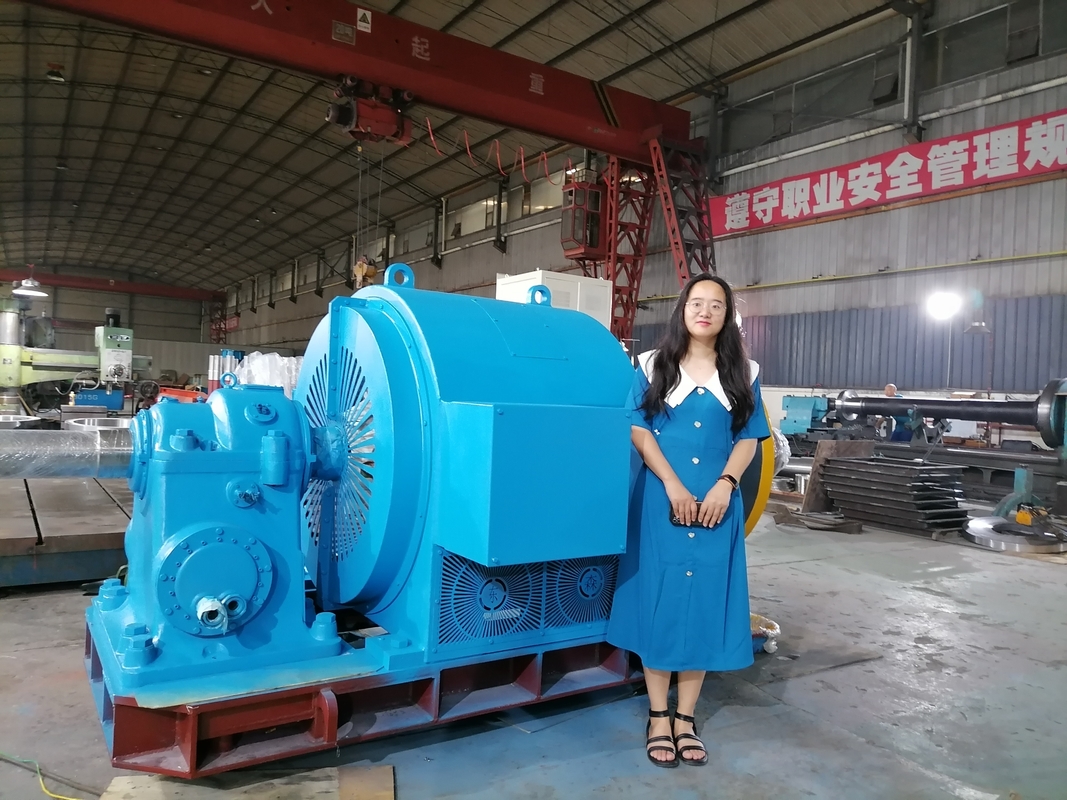 Generatore a turbina idroelettrica orizzontale di piccole dimensioni a controllo automatico completo con eccitazione statica del silicio