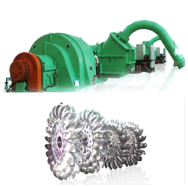 Flusso di Progetto Personalizzabile 0.48 M3/s A 1.23 M3/s Turbina Pelton con Generatore per Centrali Idroelettriche