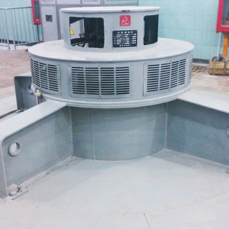Generatore di turbina Francis di alta durata per prestazioni ottimali e conversione di energia