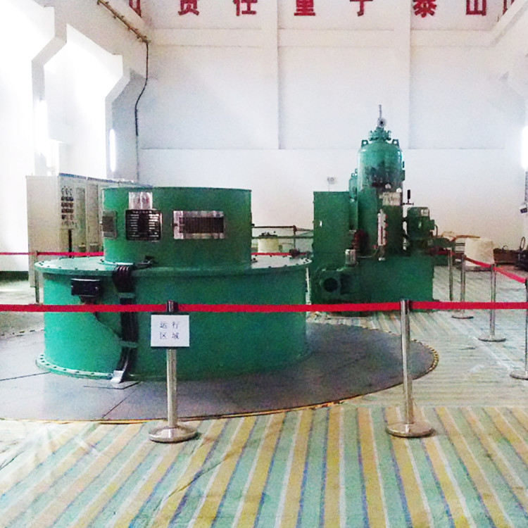 Generatore di turbina Francis di alta durata per prestazioni ottimali e conversione di energia