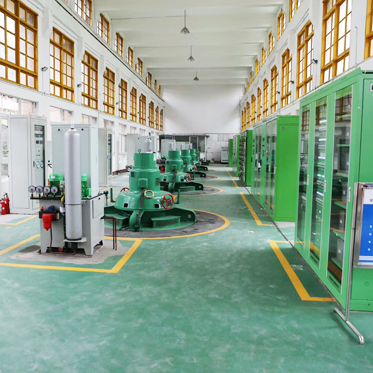 Generatore di turbina Francis di alta durata per prestazioni ottimali e conversione di energia