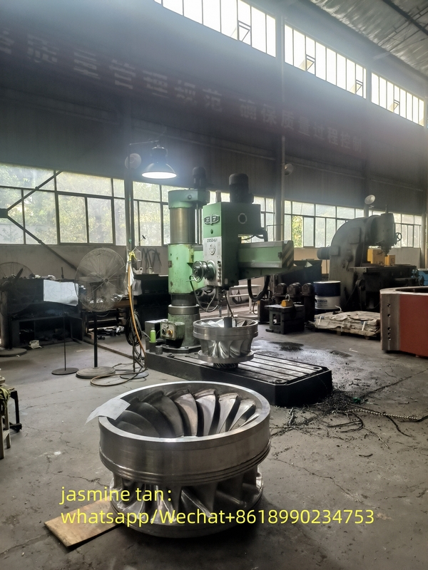 Generatore a turbina ad acqua a frequenza 50Hz/60Hz per la produzione di energia idroelettrica ecologica