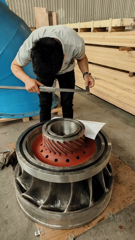 Turbina idroelettrica a lunghezza di lama personalizzata per energia rinnovabile e ecologica da 200 kW a 20 MW