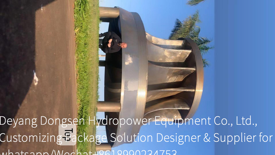 Turbina idroelettrica in acciaio inossidabile ad altezza di lama personalizzata per la produzione di energia duratura