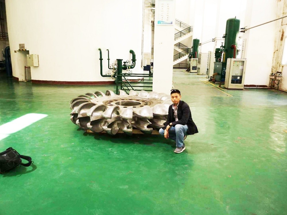 Metodo di installazione verticale Turbina idroelettrica con pressione d'ingresso di 10 MPa Metalli induriti Capacità materiale