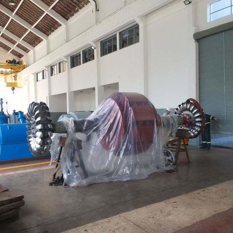 Generatori a turbina Pelton ecologici | Apparecchiature idroelettriche durevoli per progetti energetici sostenibili