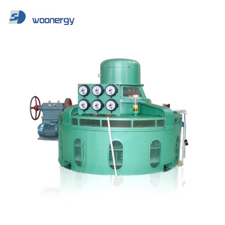 Generazione di energia idroelettrica Girante per turbina idraulica con lunghezza delle pale personalizzata e velocità nominale del rotore di 300 giri/min