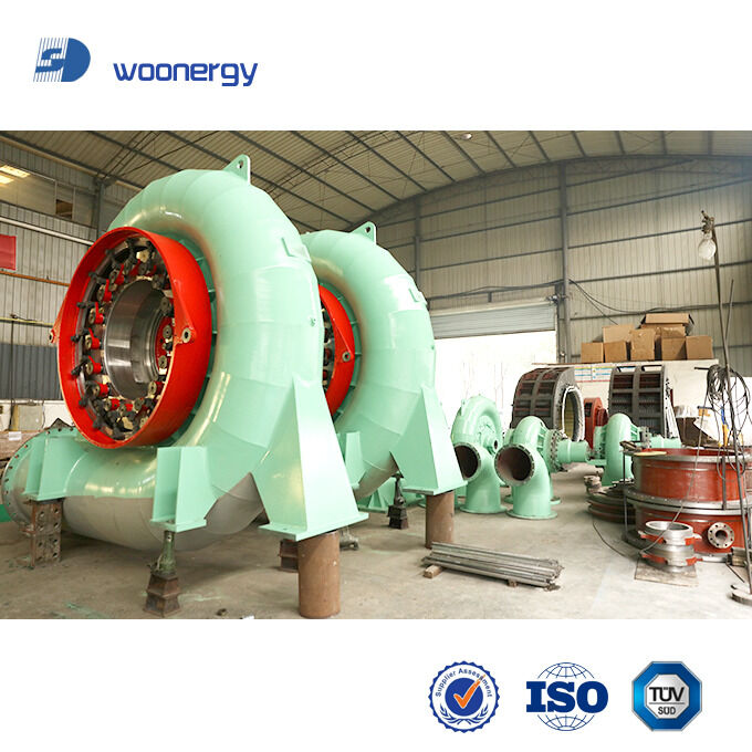 Francis Turbine Generator con velocità da 150 a 1000 giri al minuto, durata da 30 a 50 anni e potenza da 300 kW a 20 MW per centrali idroelettriche