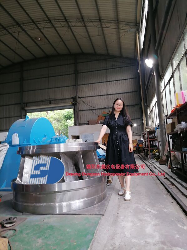 Francis Turbine Generator con velocità da 150 a 1000 giri al minuto, durata da 30 a 50 anni e potenza da 300 kW a 20 MW per centrali idroelettriche