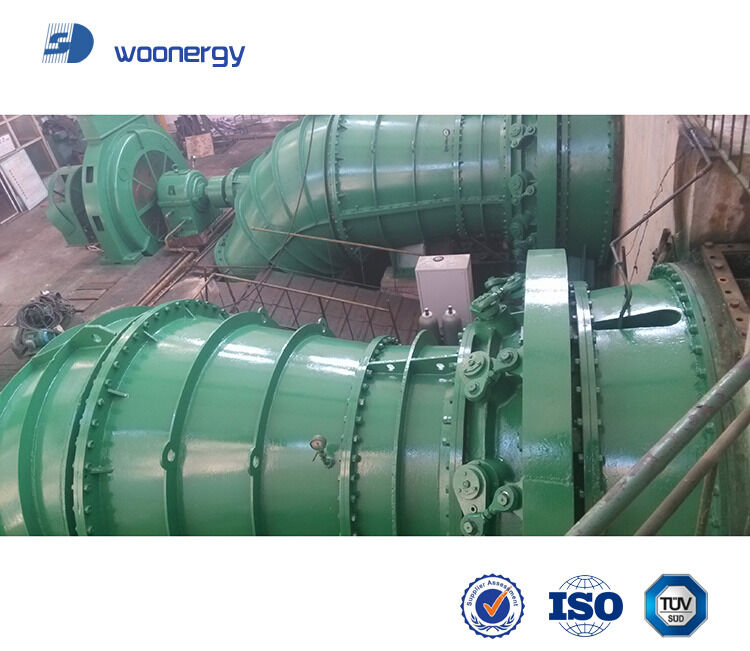 Soluzione di generazione di energia per turbine idroelettriche con girante e pale personalizzate da 1 a 10 MW per centrali idroelettriche