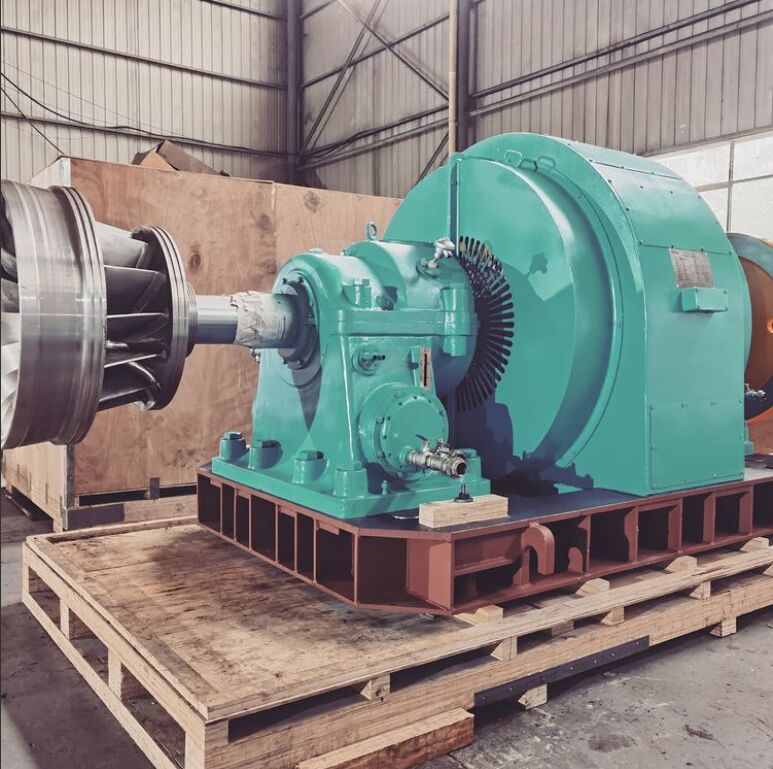 Generatore a turbina Francis in modalità di controllo automatico con layout orizzontale o verticale e velocità nominale di 450-1000 giri/min per la generazione di energia