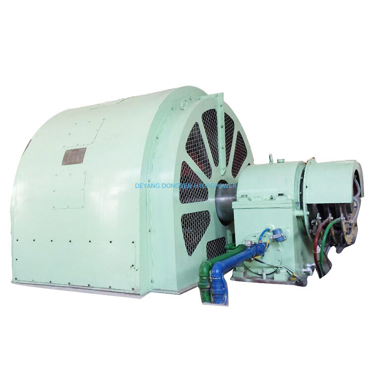 Periodo di produzione 6 mesi Pelton Wheel Turbine Generator Attrezzature idroelettriche progettate per la produzione di energia rinnovabile