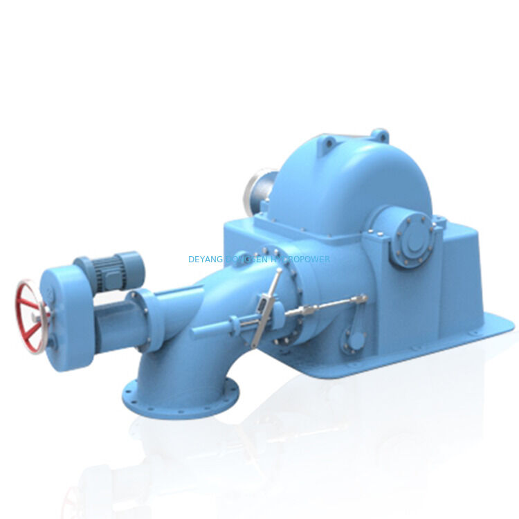 Generatore per turbina Pelton orizzontale che offre generatori sincroni o asincroni e un periodo di produzione di sei mesi, progettato per la conversione di energia