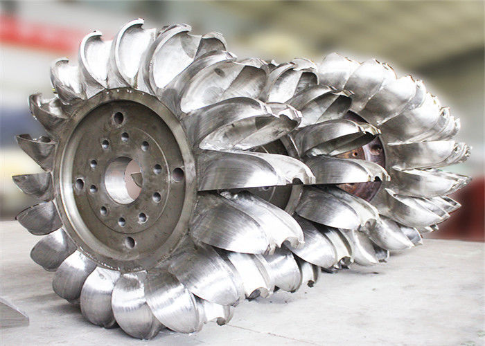 Testa alta da 100 a 2000 m Generatore a turbina Pelton di 200 mm di diametro Classe di isolamento FF Adatto alle applicazioni idroelettriche