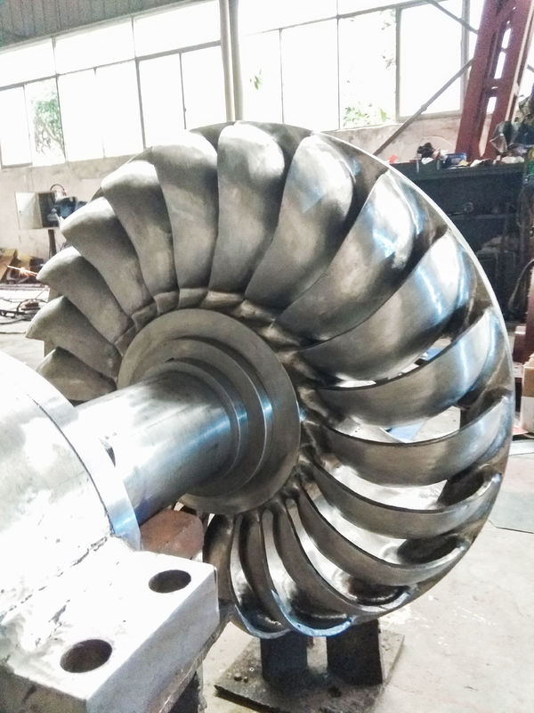 Generatore Turbina Turgo con Alternatore Sincrono da 350 a 400 mm di diametro, Blu o Specifiche Personalizzate, Adatto per Soluzioni Energetiche