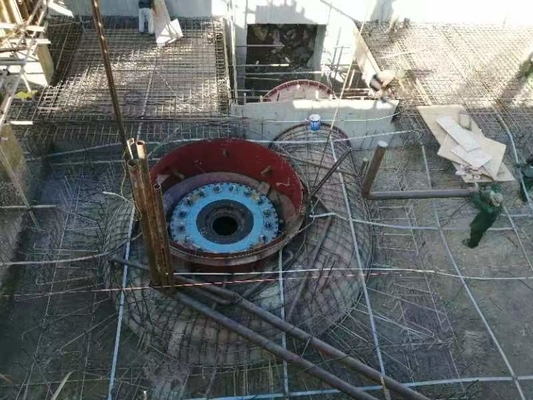 Centrale elettrica generatore automatico Francis Turbine con velocità nominale 450-1000RPM