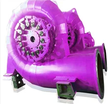 Turbina idroelettrica a rotazione a bassa velocità con tipo di lama regolabile all'interno della lucidatura