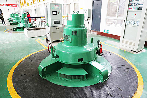 Generatore idroturbina Kaplan in acciaio inossidabile a colori personalizzati 100kw-20MW