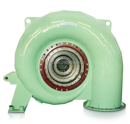 Durabilità in acciaio su misura Francis Turbine Generator Modello in acciaio inossidabile 50HZ/60HZ Parametri