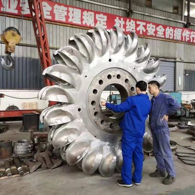 Generatore di turbine Pelton senza spazzole a tensione 1000A Corrente nominale Grado di protezione IP54