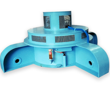 Generatore sincrono a magnete permanente a colori personalizzati 220-11000V Voltage Kaplan Hydro Turbine