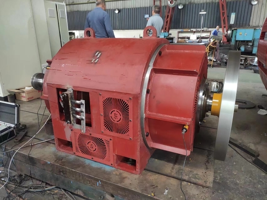 Generatore di turbina ad acqua di eccitazione al silicio controllo manuale/automatico colore personalizzato