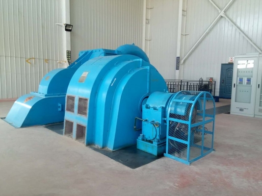500-3000r/min Generatore di turbine Pelton in ghisa senza spazzole con classe di isolamento F