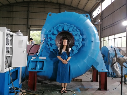 Generatore a turbina ad acqua versatile a colori personalizzati per vari bisogni di energia