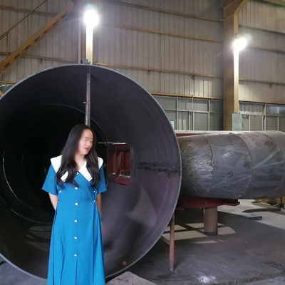 Generatore a turbina ad acqua da 200 kW a 20 MW con controllo automatico / manuale