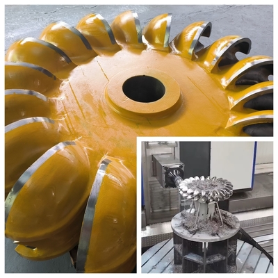 Turbina idroelettrica di precisione con lama variabile Anticorrosione con acciaio inossidabile o acciaio al carbonio