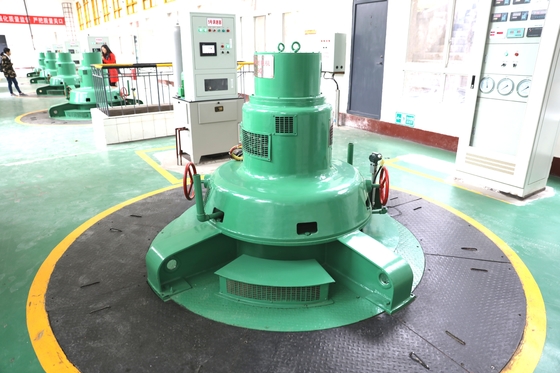 Turbina idroelettrica orizzontale da 50 anni di vita per una produzione massima